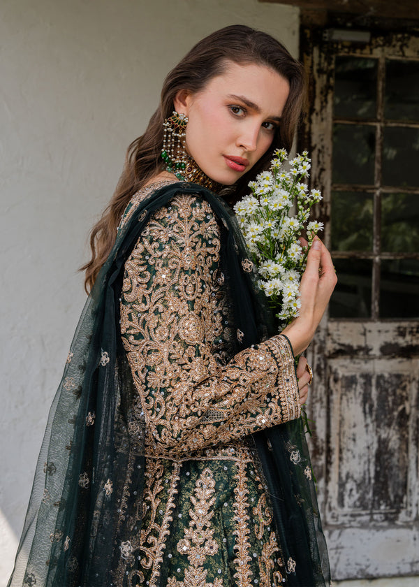 Haseens | Ayra Formals | Malaak, image 3