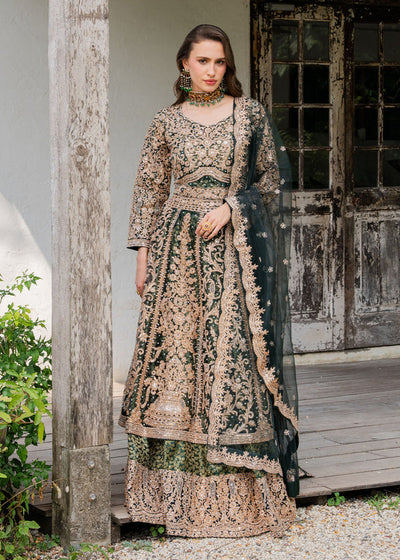 Haseens | Ayra Formals | Malaak