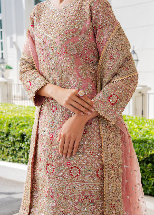 Haseens | Ayra Formals | Fadeela-3