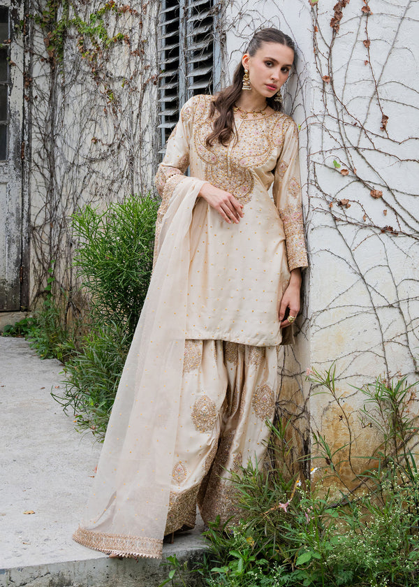 Haseens | Ayra Formals | Noorey-4