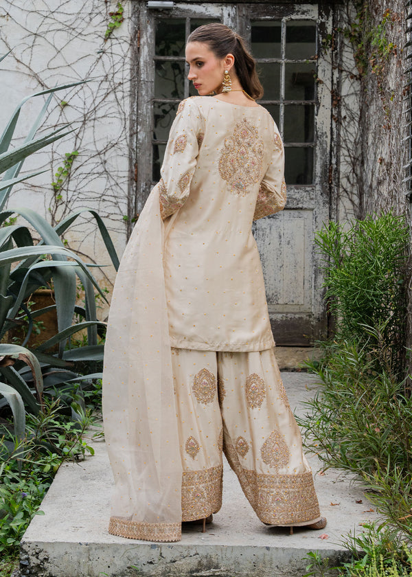 Haseens | Ayra Formals | Noorey, image 2
