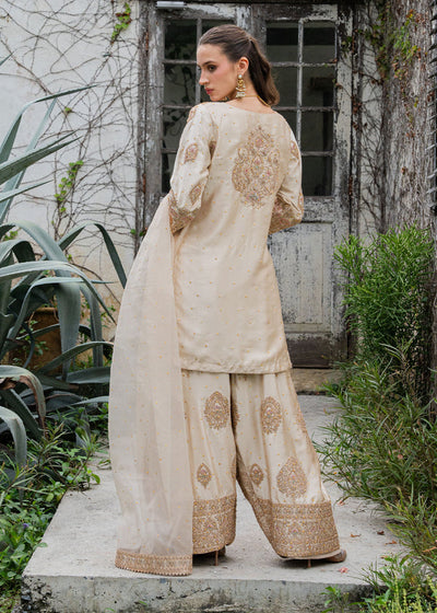 Haseens | Ayra Formals | Noorey