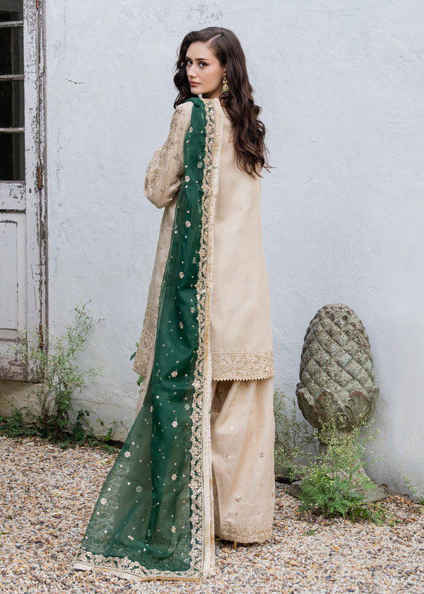 Haseens | Ayra Formals | Alizeh, image 2