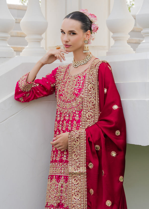 Haseens | Ayra Formals | Dilafroz, image 4