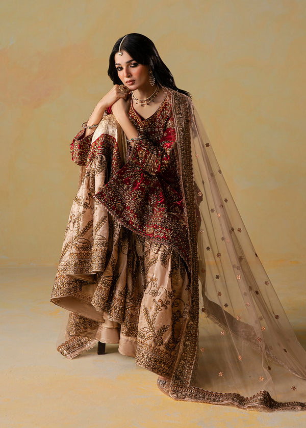 Haseens | Retaj Formals | Rameen, image 4
