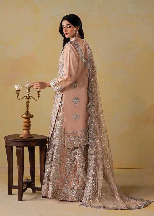 Haseens | Retaj Formals | Mirab-2