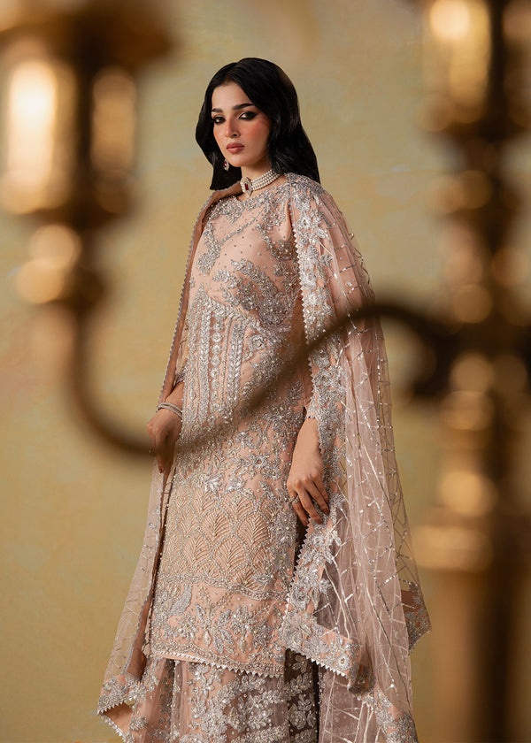 Haseens | Retaj Formals | Mirab-3