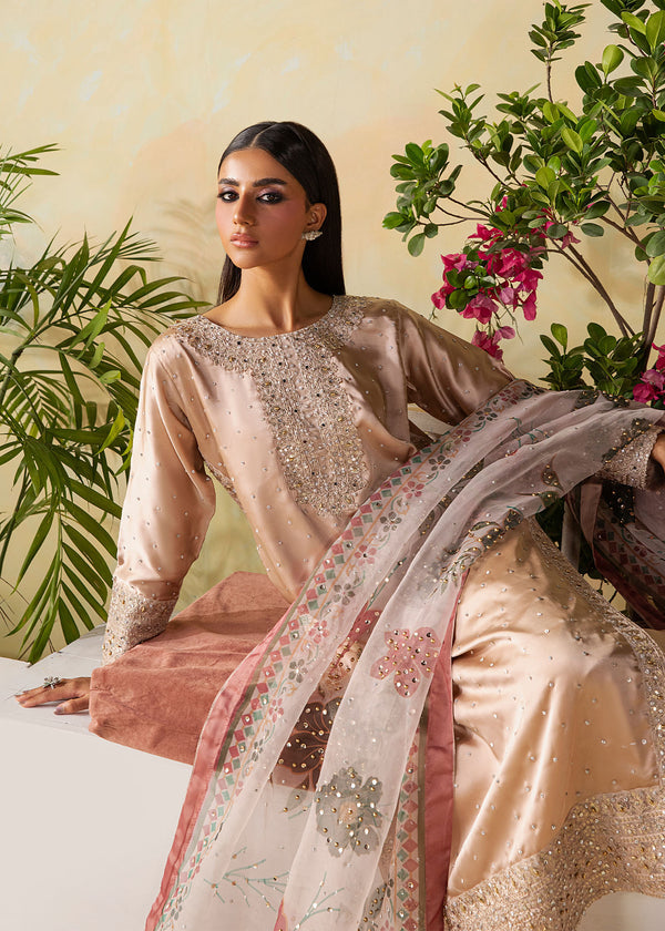 Haseens | Retaj Formals | Unaisa, image 4