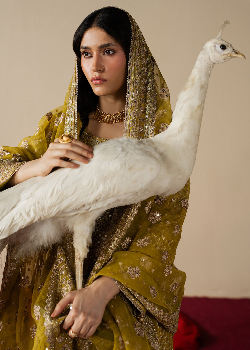 Haseens | Gulal Formals | Zarqam-9