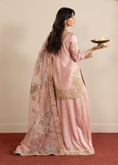 Haseens | Sakhiyan Formals | Munezza
