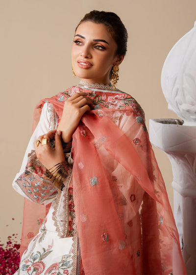 Haseens | Zahia Formal |Marvi