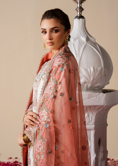 Haseens | Zahia Formal |Marvi