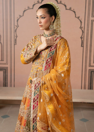 Haseens | Naqs Formals |Nigaish