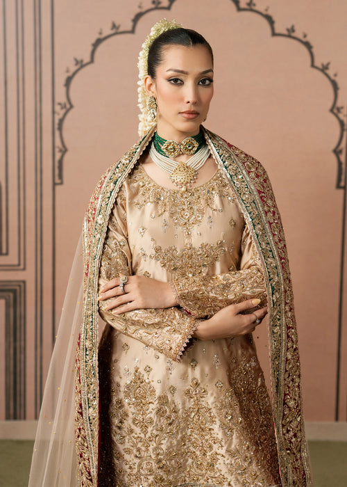 Haseens | Naqs Formals |Insiya, image 7