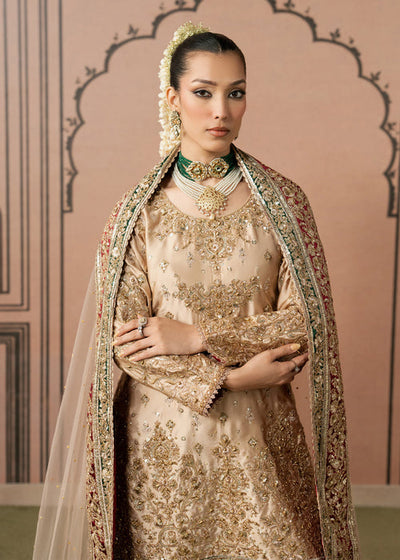 Haseens | Naqs Formals |Insiya