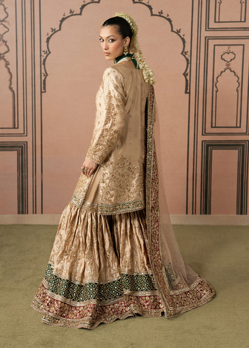Haseens | Naqs Formals |Insiya, image 2