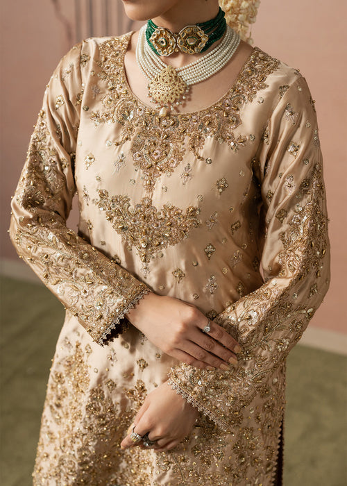 Haseens | Naqs Formals |Insiya, image 4