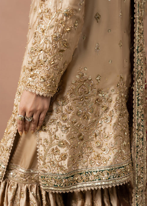Haseens | Naqs Formals |Insiya, image 6
