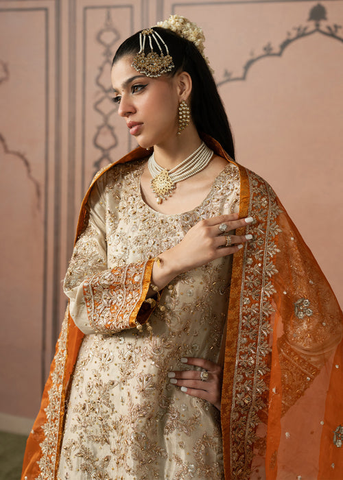 Haseens | Naqs Formals | Huma, image 8