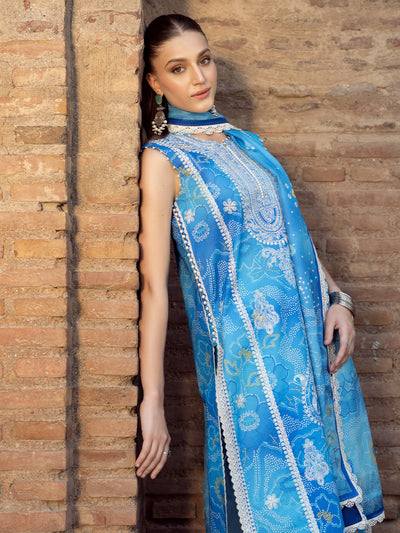 Bin Ilyas | Naqsh Naaz Luxury Lawn 25 | 2084 - B -  Bin Ilyas Ladies Clothes - Original Designer Dress - House of Maryam
