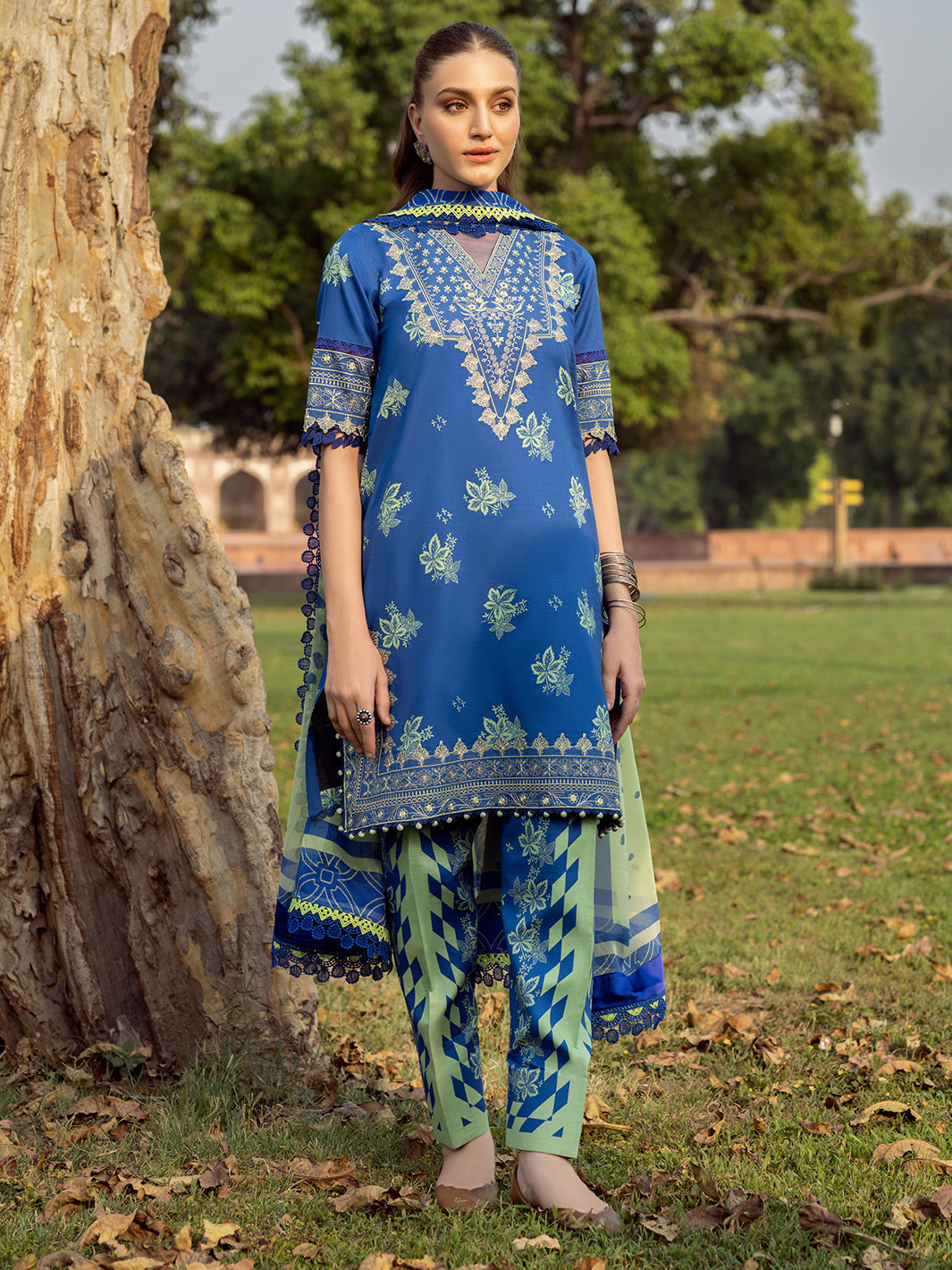 Bin Ilyas | Naqsh Naaz Luxury Lawn 25 | 2088 - B -  Bin Ilyas Ladies Clothes - Original Designer Dress - House of Maryam