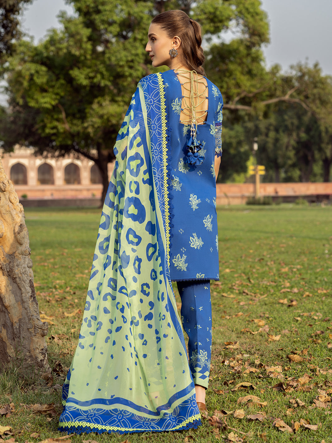 Bin Ilyas | Naqsh Naaz Luxury Lawn 25 | 2088 - B -  Bin Ilyas Ladies Clothes - Original Designer Dress - House of Maryam