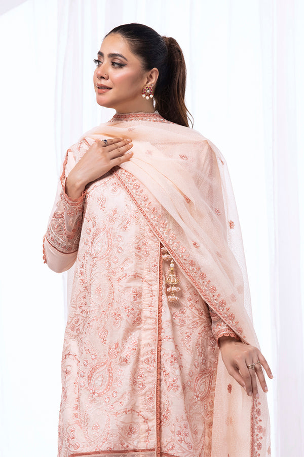 House of Nawab | Lawn Collection 24 | ALAYA by House of Nawab - House of Maryam