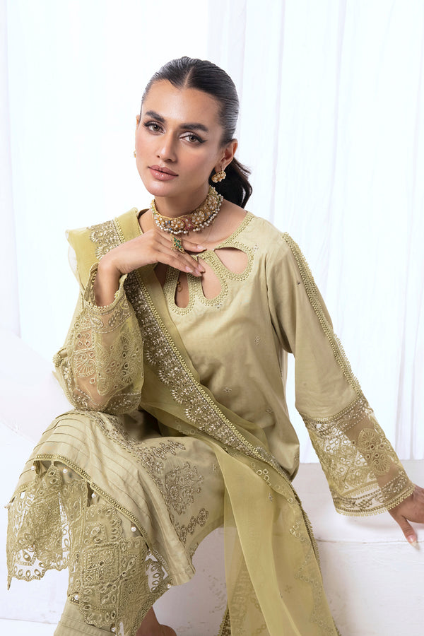 House of Nawab | Lawn Collection 24 | AENI by Designer House of Nawab - House of Maryam - Pakistani Designer Ethnic Wear in {{ shop.shopifyCountryName }}