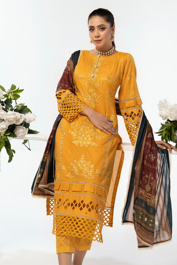 House of Nawab | Lawn Collection 24 | AEMA by Designer House of Nawab - House of Maryam - Pakistani Designer Ethnic Wear in {{ shop.shopifyCountryName }}