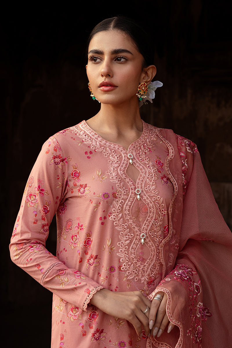 Cross Stitch | Premium Lawn 24 | APRICOT CHARM -  Cross Stitch Formal -  House of Maryam