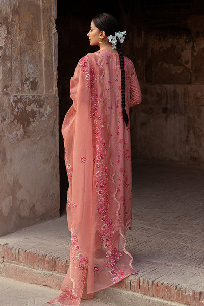 Cross Stitch | Premium Lawn 24 | APRICOT CHARM -  Cross Stitch Formal - Original Designer Dress - House of Maryam