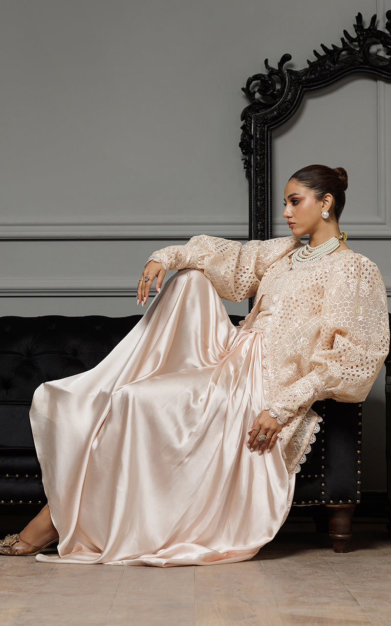Threads and Motifs | Formal Dresses 25 | Organza Embroidered Jacket With Embroidered Tube And Skirt -  Threads and Motifs Ladies Clothes - Original Designer Dress - House of Maryam