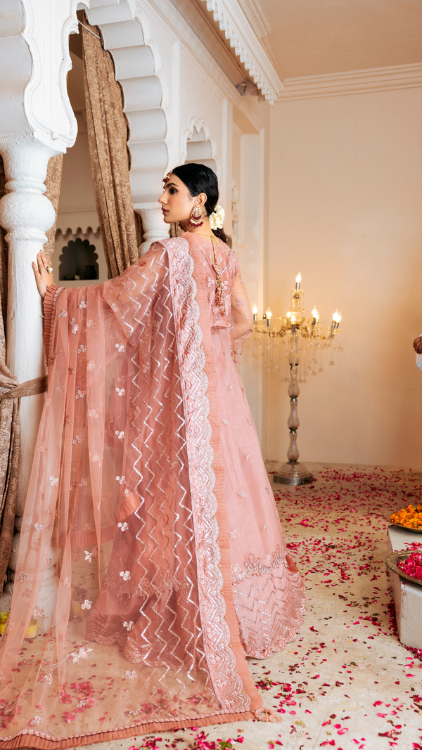 Zebtan | Zircon Wedding Formals | SHABNAM ZQ-07 -  Zebtan Ladies Clothes -  House of Maryam