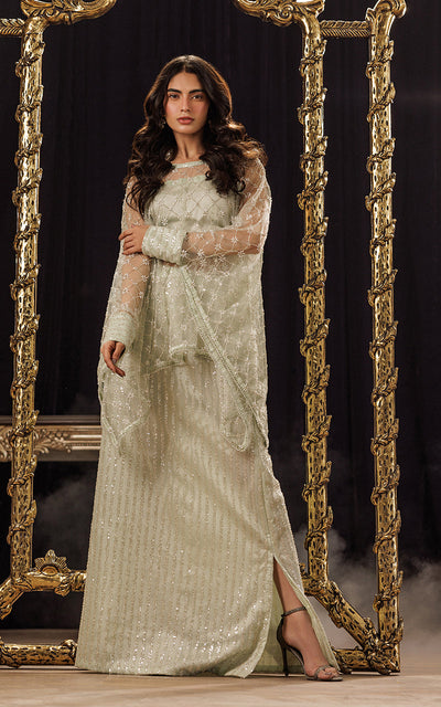Threads and Motifs | Formal Dresses 25 | Net Embroidered Cape With Tube And Skirt -  Threads and Motifs Ladies Clothes - Original Designer Dress - House of Maryam