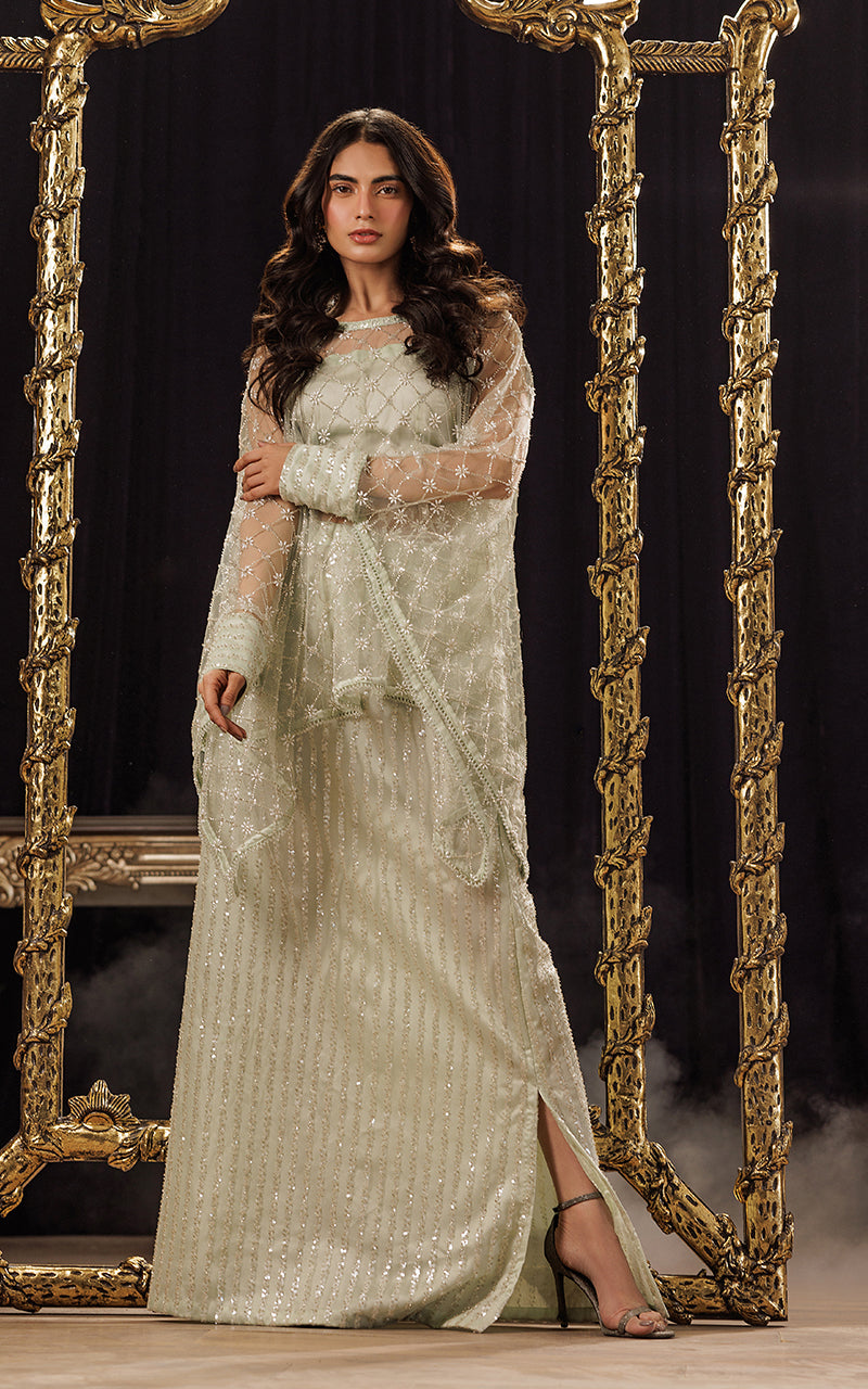 Threads and Motifs | Formal Dresses 25 | Net Embroidered Cape With Tube And Skirt -  Threads and Motifs Ladies Clothes - Original Designer Dress - House of Maryam