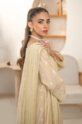 Declare | Eid Collection 25 |  PB01075 -  Declare Ladies Clothes -  House of Maryam