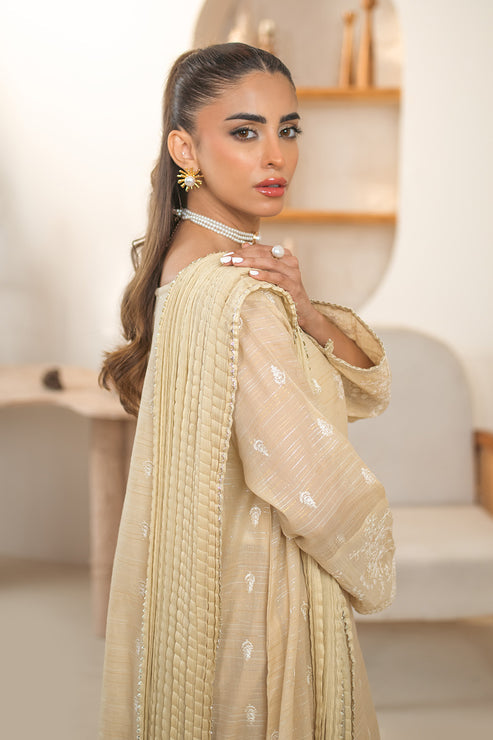 Declare | Eid Collection 25 |  PB01075 -  Declare Ladies Clothes -  House of Maryam