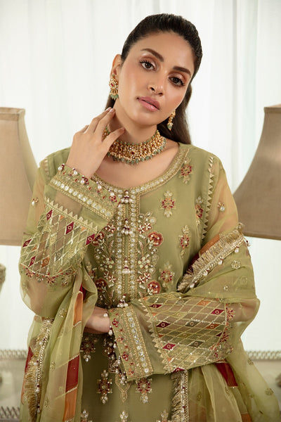Raeesa Premium | Dehleez Formals | Dl 1032 -  Raeesa Premium Ladies Clothes - Original Designer Dress - House of Maryam