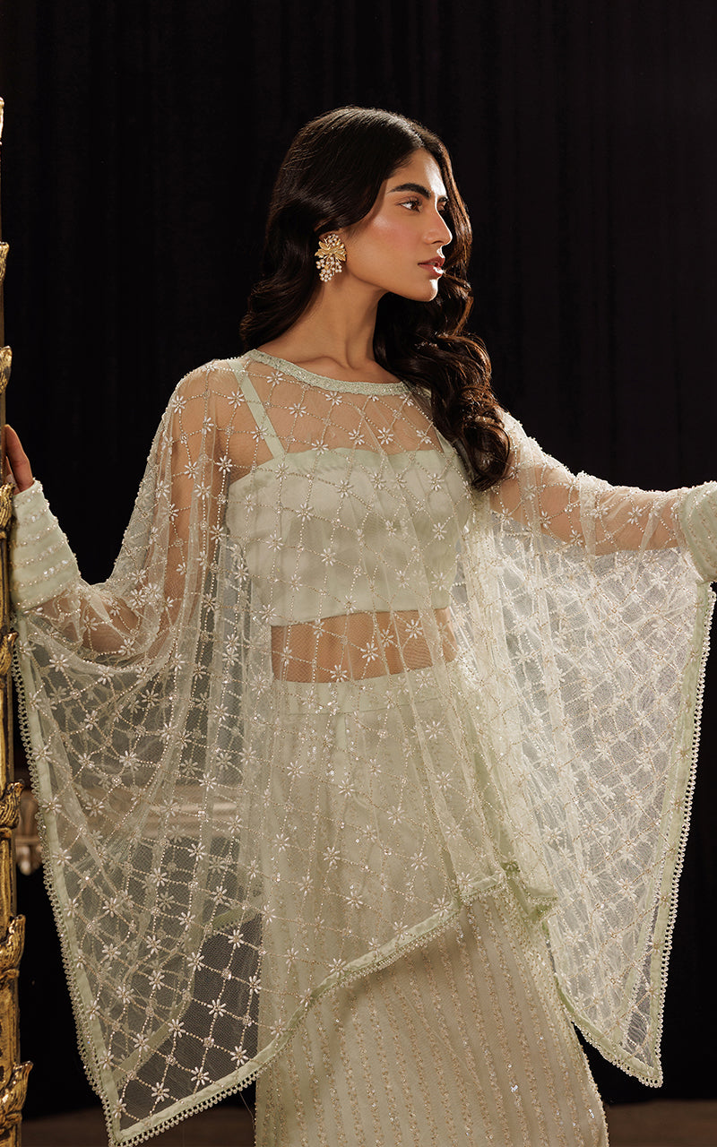 Threads and Motifs | Formal Dresses 25 | Net Embroidered Cape With Tube And Skirt -  Threads and Motifs Ladies Clothes - Original Designer Dress - House of Maryam