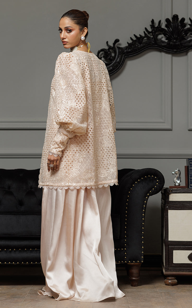 Threads and Motifs | Formal Dresses 25 | Organza Embroidered Jacket With Embroidered Tube And Skirt -  Threads and Motifs Ladies Clothes - Original Designer Dress - House of Maryam
