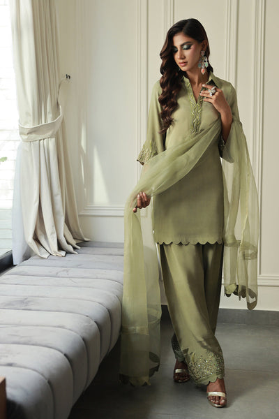 Wardha Saleem | Luxury Pret Traditional Wear | IARA -  Wardha Saleem Ladies Clothes - Original Designer Dress - House of Maryam