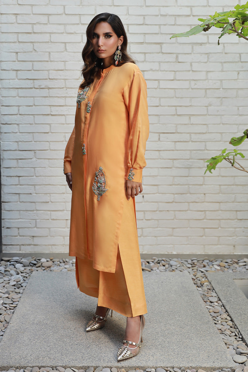 Wardha Saleem | Luxury Pret Traditional Wear | ARZA -  Wardha Saleem Ladies Clothes - Original Designer Dress - House of Maryam