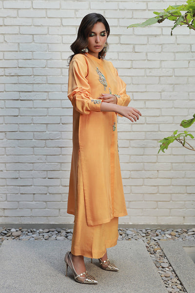 Wardha Saleem | Luxury Pret Traditional Wear | ARZA -  Wardha Saleem Ladies Clothes - Original Designer Dress - House of Maryam