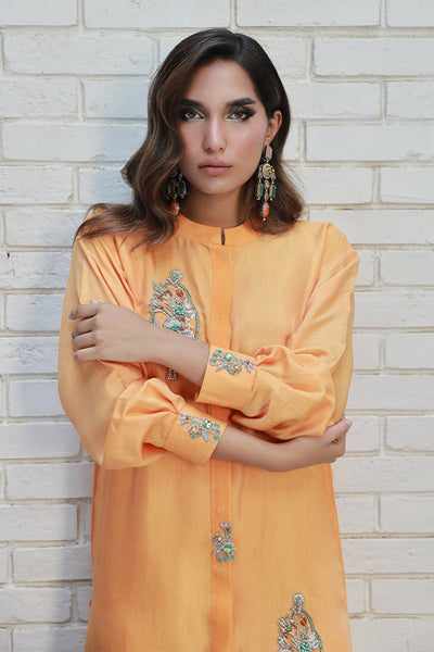 Wardha Saleem | Luxury Pret Traditional Wear | ARZA -  Wardha Saleem Ladies Clothes - Original Designer Dress - House of Maryam