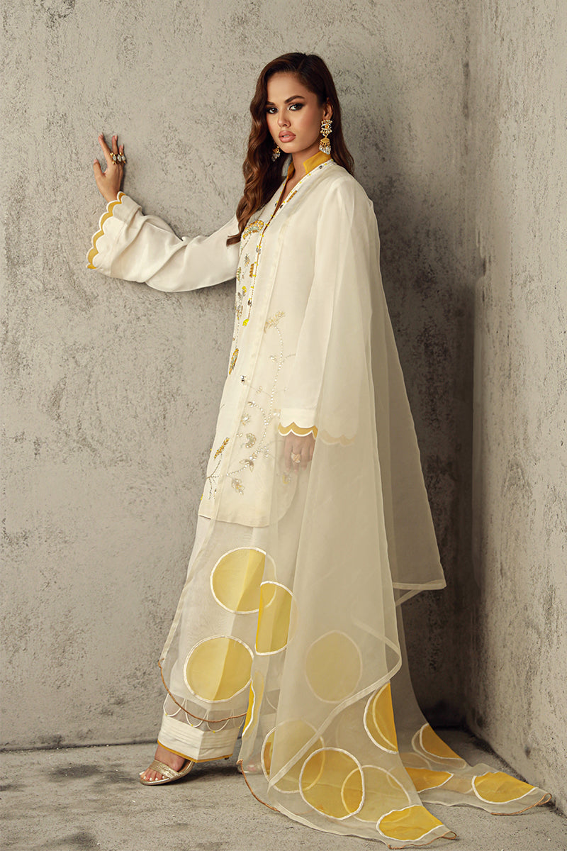 Wardha Saleem | Luxury Pret Traditional Wear | SUHA -  Wardha Saleem Ladies Clothes - Original Designer Dress - House of Maryam