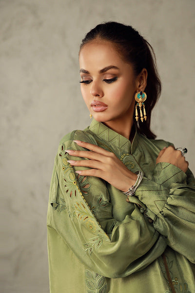 Wardha Saleem | Luxury Pret Traditional Wear | HANIA -  Wardha Saleem Ladies Clothes - Original Designer Dress - House of Maryam
