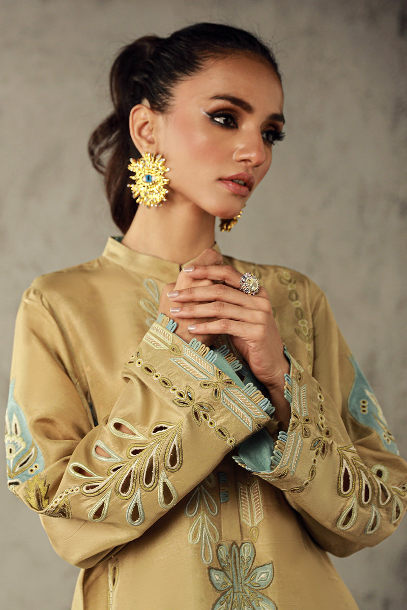Wardha Saleem | Luxury Pret Traditional Wear | AMANI -  Wardha Saleem Ladies Clothes - Original Designer Dress - House of Maryam