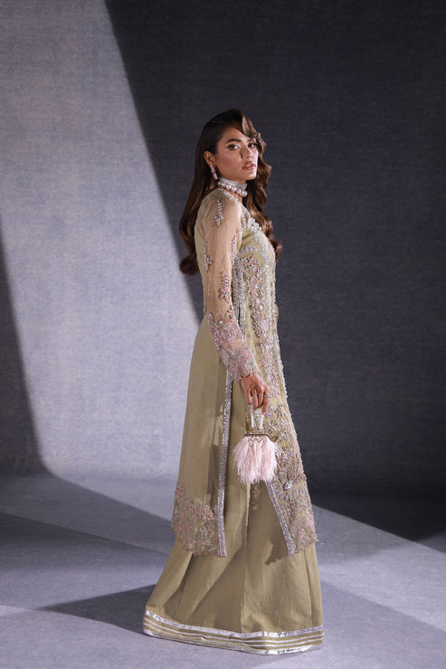 Ezra | Ermina Collection 25 | MUSKAN, image 5