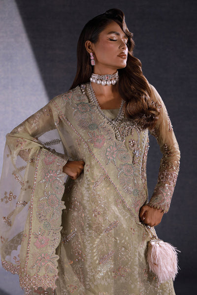 Ezra | Ermina Collection 25 | MUSKAN