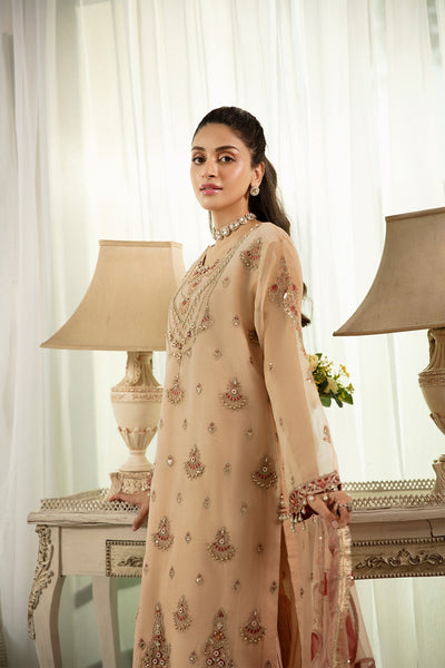Raeesa Premium | Dehleez Formals | Dl 1037 -  Raeesa Premium Ladies Clothes - Original Designer Dress - House of Maryam